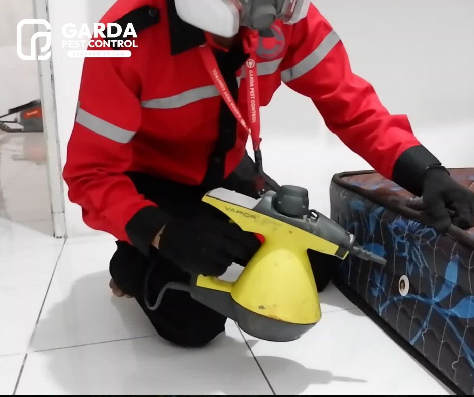 Jasa Pembasmi Kutu Kasur Tumila di Bandung