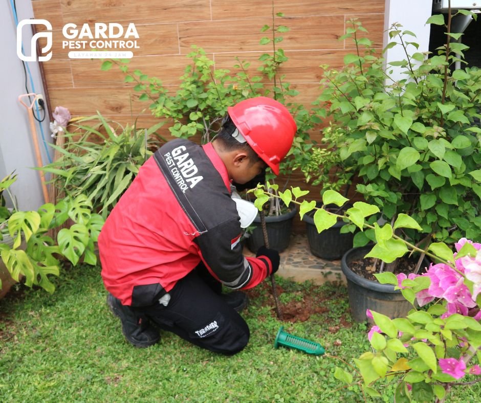 Jasa Pembasmi Rayap di Bandung (2)