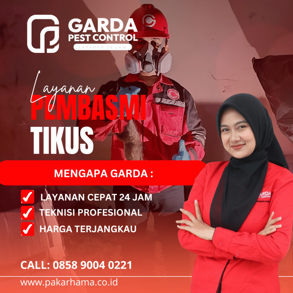 Jasa Pembasmi Tikus di Jakarta Timur Profesional & Terbaik