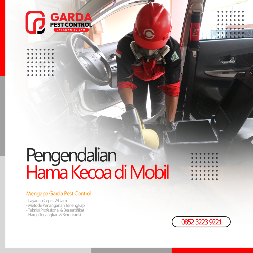 Jasa Pest Control Kecoa Mobil di Jakarta Basmi Hama di Kabin Mobil dengan Metode Aman
