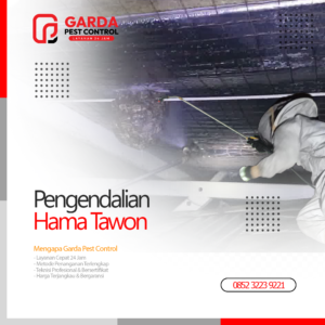 Rekomendasi Jasa Pest Control Terdekat di Jakarta yang Menggunakan Bahan Ramah Lingkungan