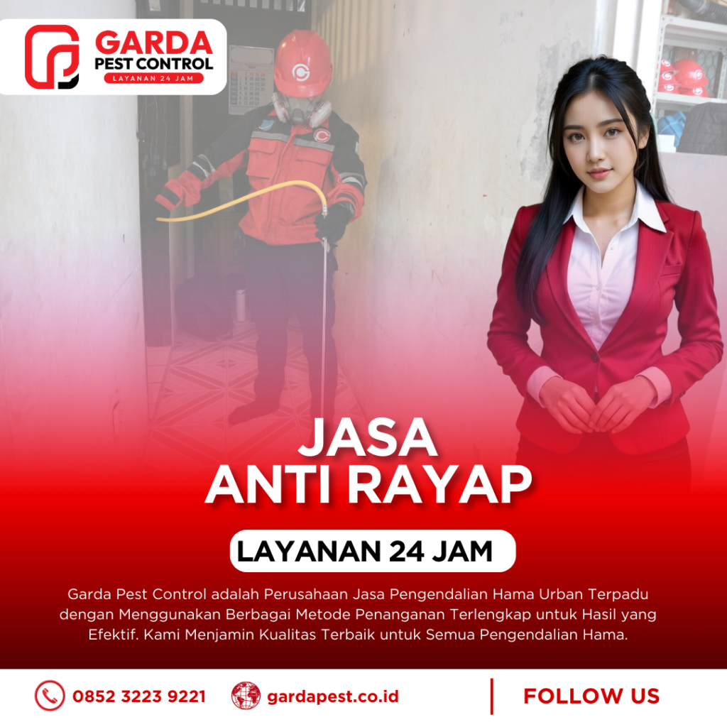 Biaya Jasa Anti Rayap Jakarta Harga Kompetitif Dengan Garansi Hingga 5 Tahun