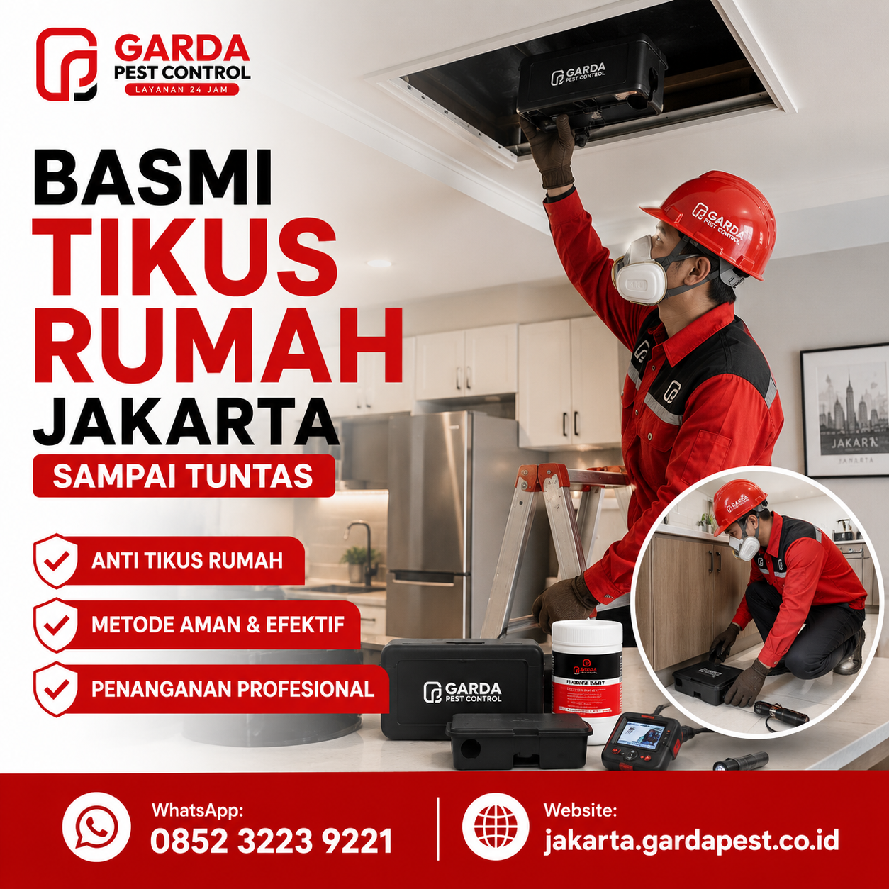 Biaya Jasa Pembasmi Tikus di Jakarta: Panduan Tarif dan Penanganan Efektif
