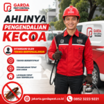 Harga Jasa Pembasmi Kecoa Jakarta: Transparan dan Efektif Tanpa Beban Harga Jasa Pembasmi Kecoa Jakarta: Transparan dan Efektif Tanpa Beban