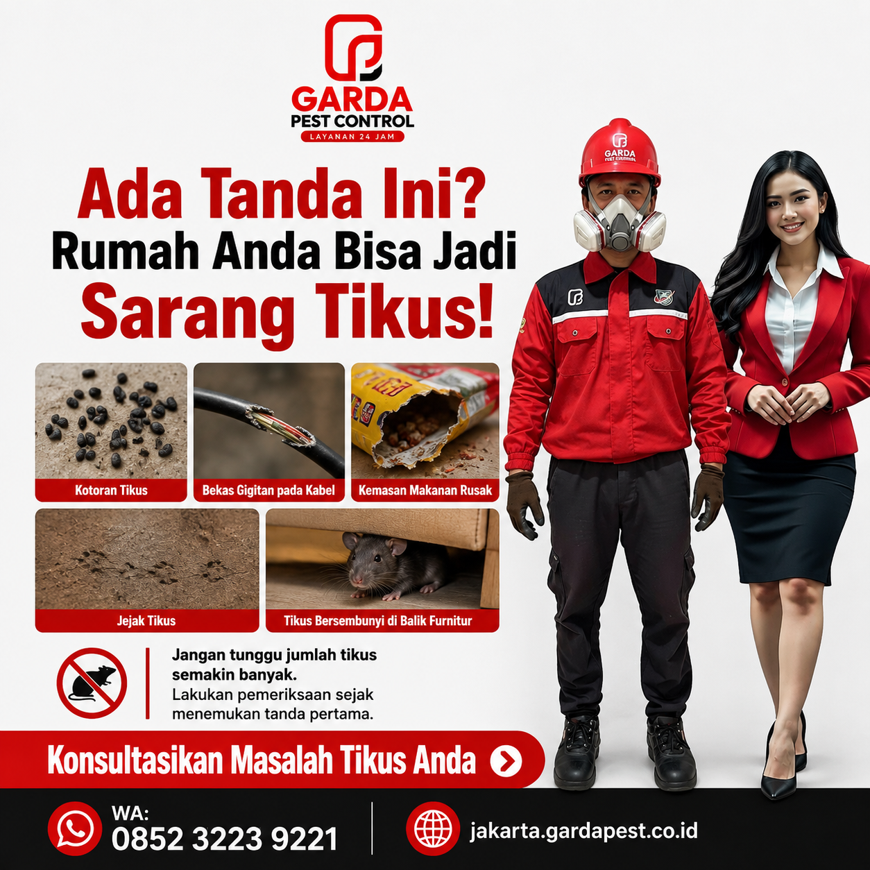 Cara Mengatasi Tikus di Rumah? Gunakan Jasa Pembasmi Tikus Jakarta - Gambar 3