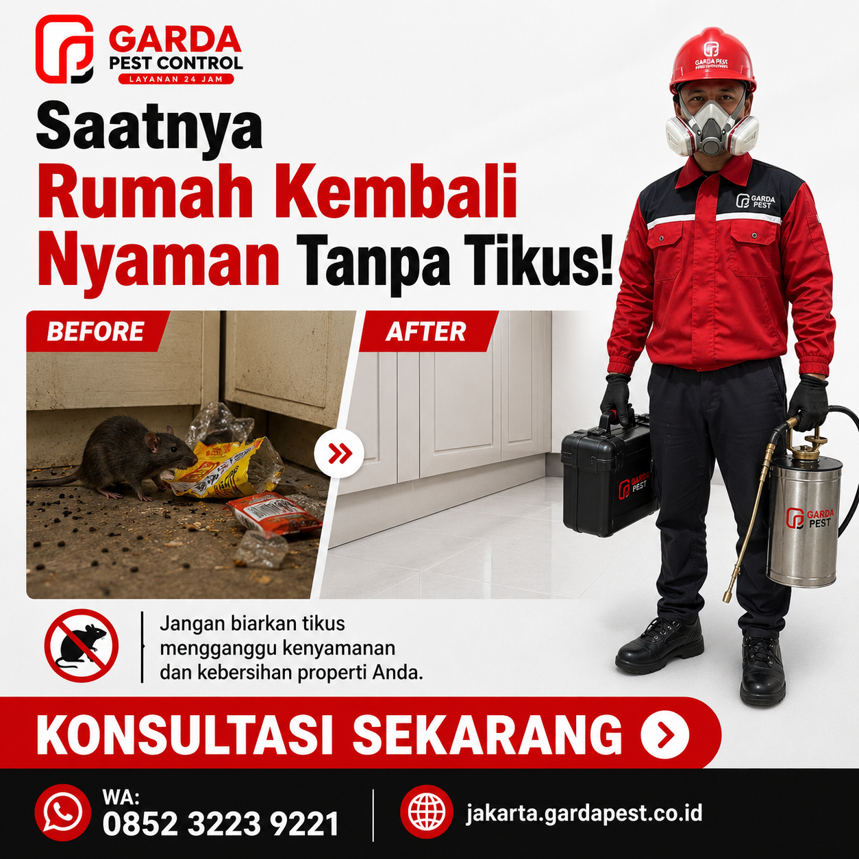Cara Mengatasi Tikus di Rumah? Gunakan Jasa Pembasmi Tikus Jakarta - Gambar 8